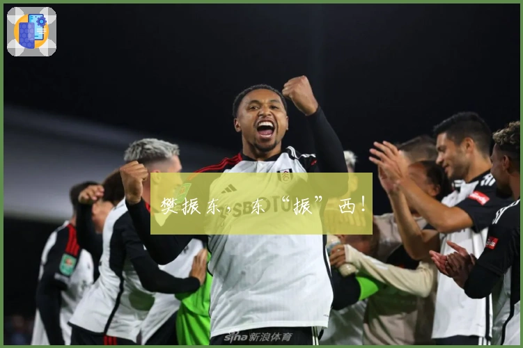 樊振东，东“振”西！