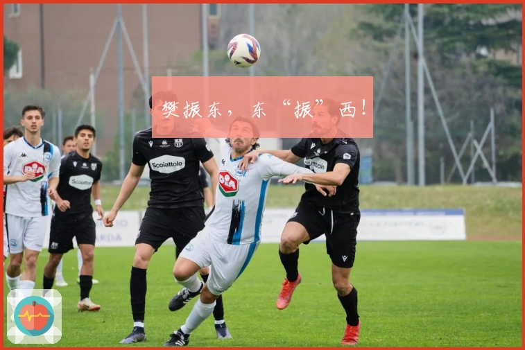 樊振东，东“振”西！